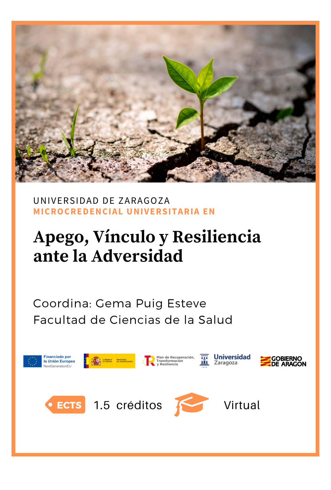 Apego, Vínculo y Resiliencia ante la Adversidad 