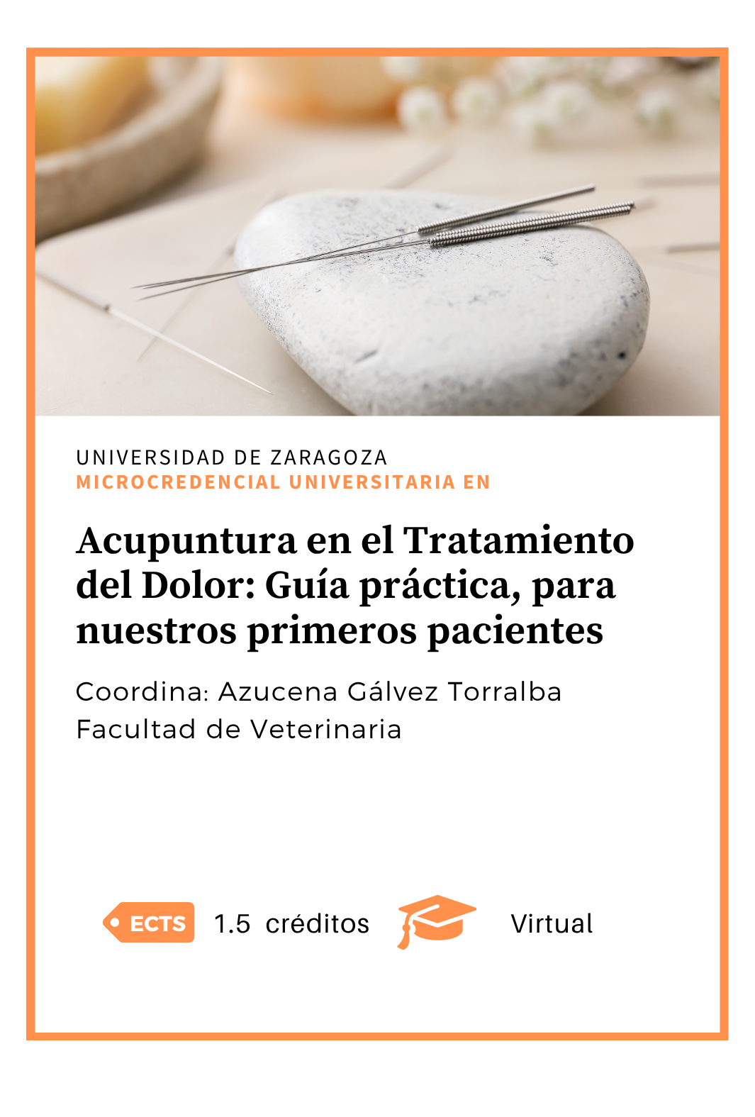 "Acupuntura en el Tratamiento del Dolor: Guía práctica, para nuestros primeros 