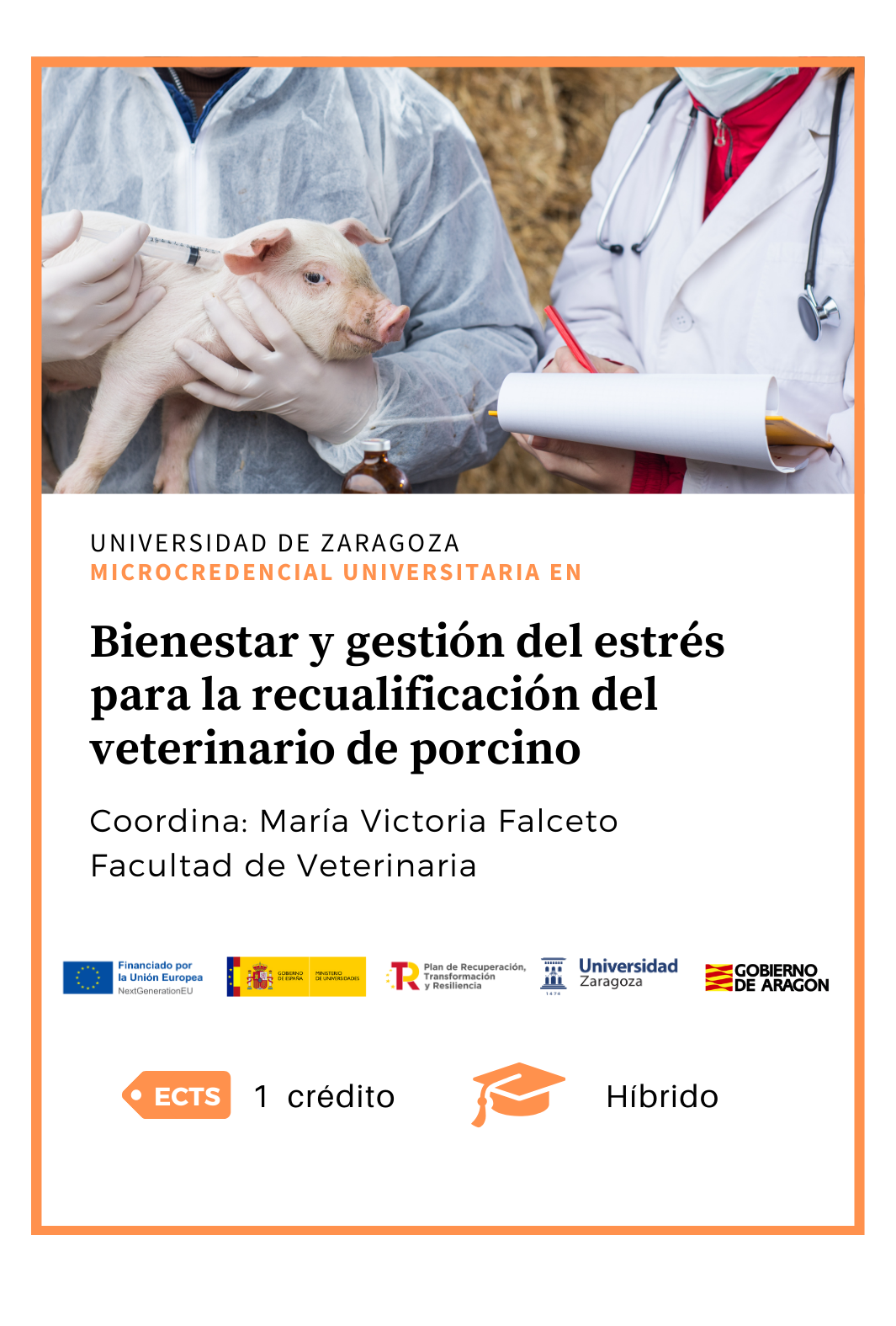 Bienestar y gestión del estrés para la recualificación del veterinario de porcino 