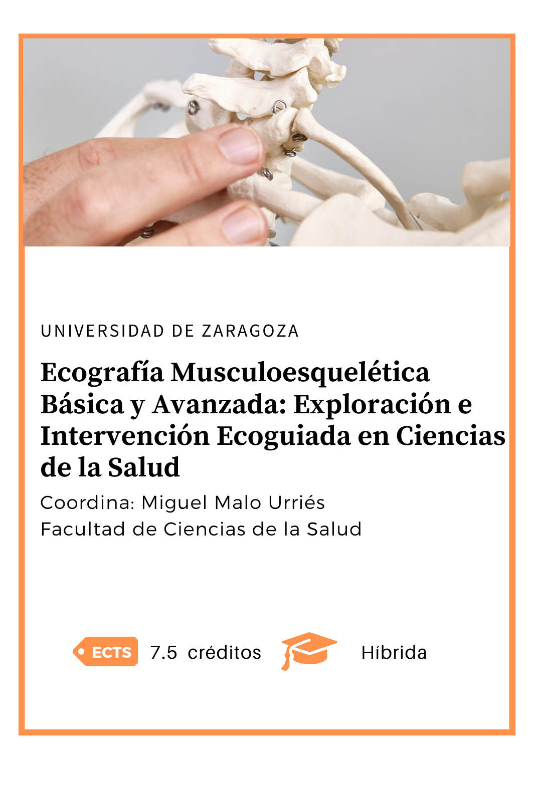 Ecografía musculoesquelétiva básica y avanzada: exploración e intervención ecoguiada en Ciencias de la Salud